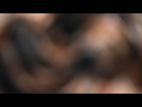 Micro Bikini Try -On Haul Transparent |Transparent Lingerie & See-through style  #12