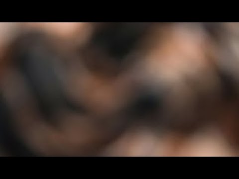 Micro Bikini Try -On Haul Transparent |Transparent Lingerie & See-through style #1